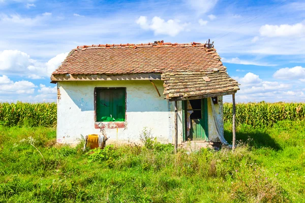 Övergiven bondgård i ett majsfält — Stockfoto