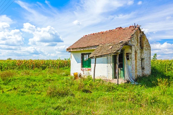 Заброшенный фермерский дом на кукурузном поле — стоковое фото
