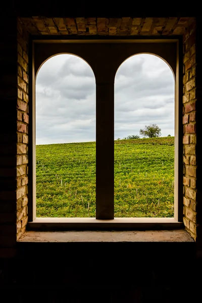 Arched window on the vineyard — Stock Photo, Image