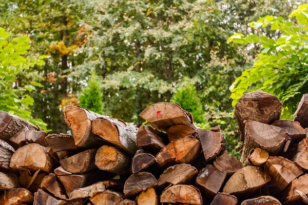 Pile of wood — Stock Photo, Image