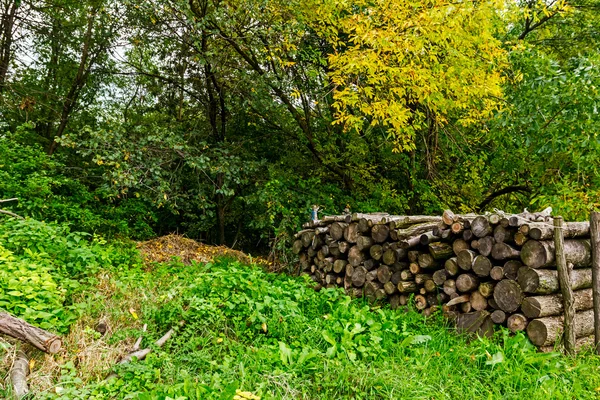 Odun yığını — Stok fotoğraf