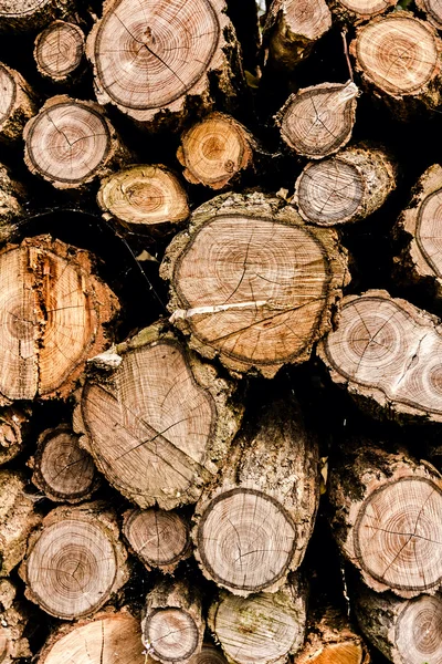 Pile of wood — Stock Photo, Image