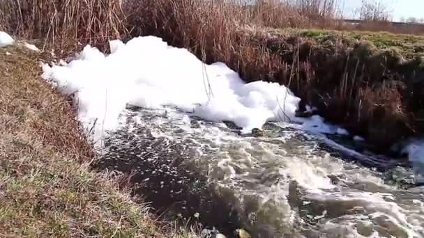 Polluted stream — Stock Video