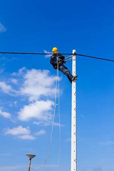 Work on a pole — Stock Photo, Image