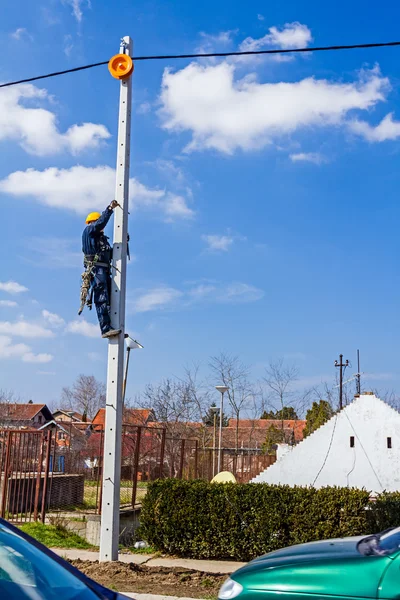 Geboren, um aufzusteigen — Stockfoto