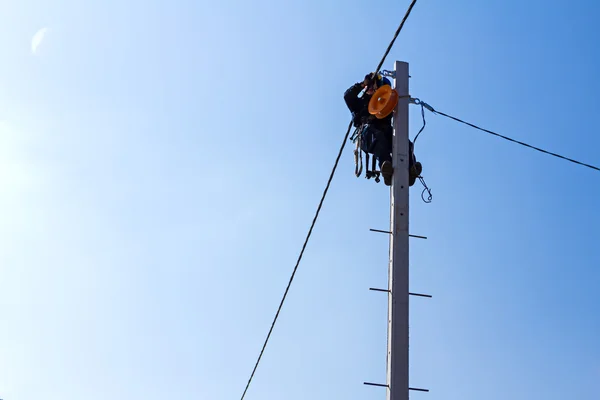 Work on a pole — Stock Photo, Image