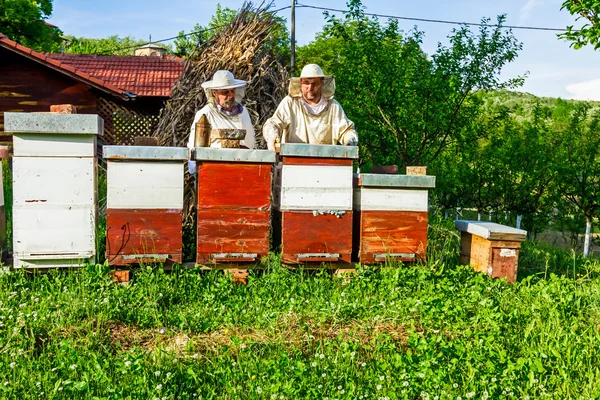 Praca w pasieki — Zdjęcie stockowe