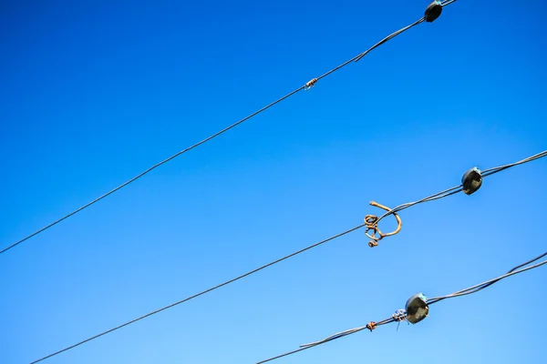 Dry vine tendril on wire — Stock Photo, Image