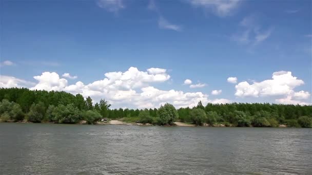 Landschap rivieroever — Stockvideo