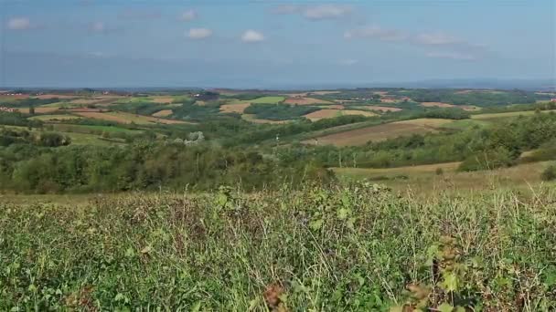 Gras auf hügeliger Landschaft. — Stockvideo