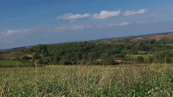 Hierba en el paisaje montañoso . — Vídeos de Stock