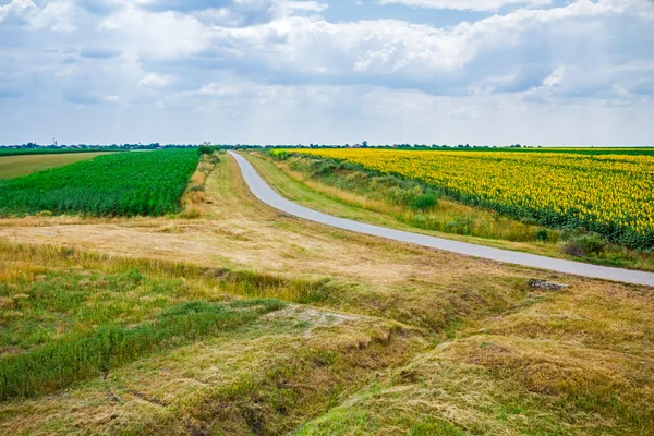 Camino a través del paisaje agrícola . — Foto de Stock