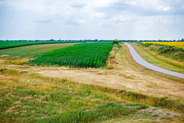 Road through agricultural landscape. — Stock Photo, Image