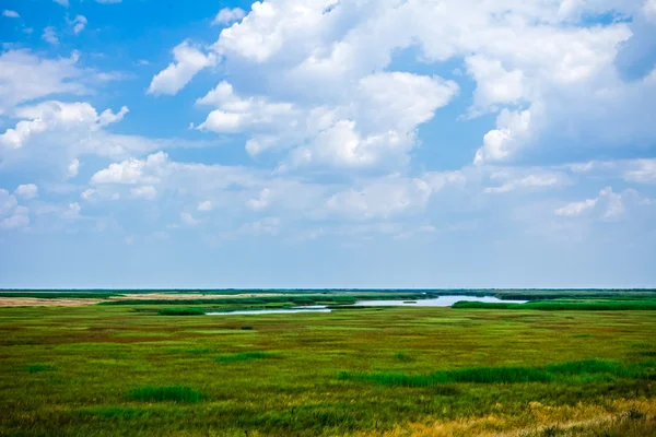 Pond in summer — Stock Photo, Image