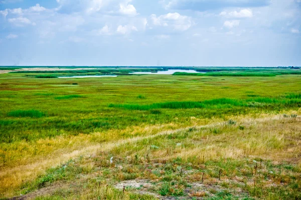 Half green and half dry grass field. — Stock Photo, Image