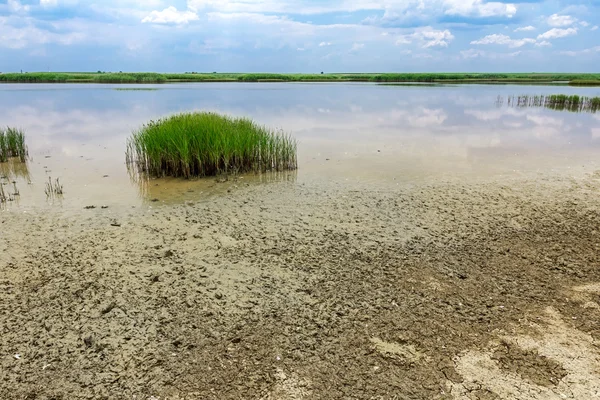 Drought — Stock Photo, Image