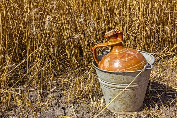 Ceramic amphora is protected with metal bucket. — Stock Photo, Image