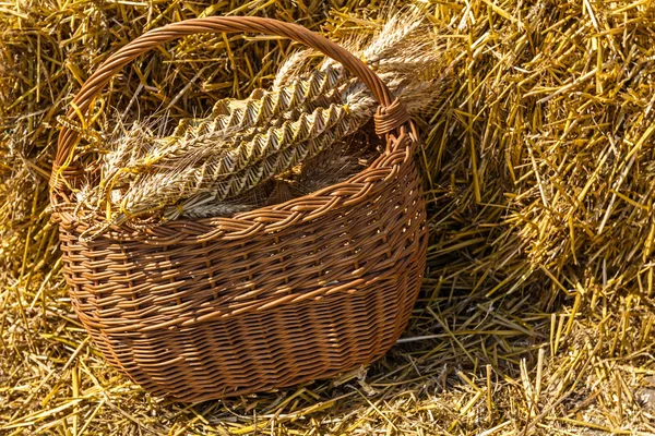 Adornment made of wheat in a handmade basket. — Stock Photo, Image