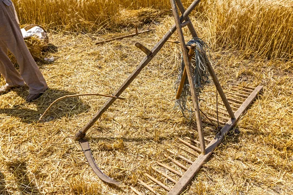 古い収穫ツール、鎌、木製レーキ. — ストック写真