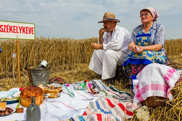 La gente está en la cosecha preparando el desayuno. . —  Fotos de Stock