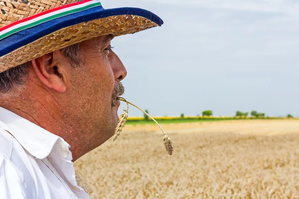 Portret van een senior boer. — Stockfoto