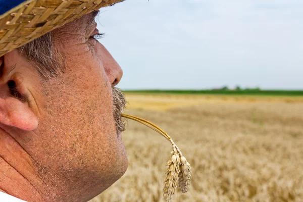 Porträtt av en äldre bonde. — Stockfoto