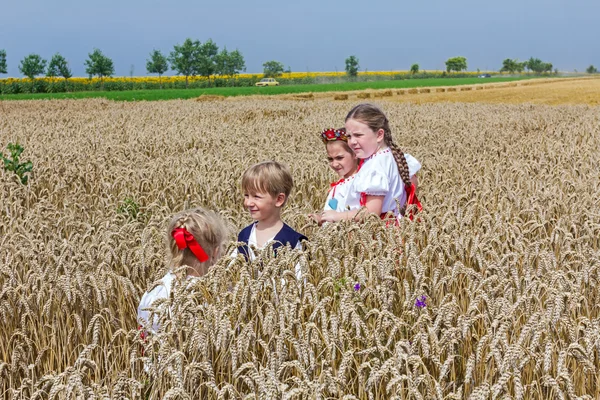 Crianças vestidas com trajes folclóricos húngaros na época da colheita . — Fotografia de Stock