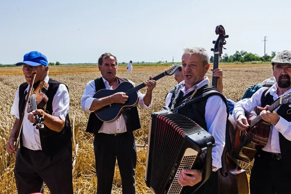 İyi bir hasat için müzik. — Stok fotoğraf