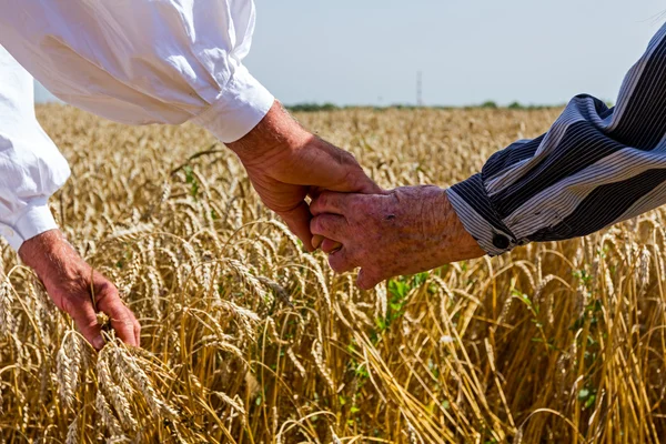 Hand in hand. — Stockfoto