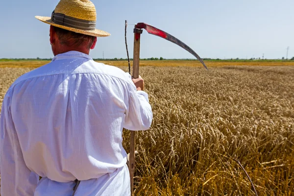 Boer is kijken naar graan veld. — Stockfoto