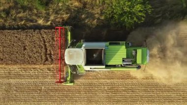 Yukarıdan bakıldığında, Dolly aşağıya doğru hareket ediyor, tarımsal hasat aracının üzerine iniyor, tarım arazilerindeki olgun buğdayları kesip biçerken birleşiyor. Yaz mevsiminde hasat zamanı. 