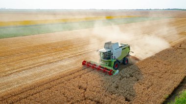 Tarımsal biçerdöver üzerinde, tarım arazilerinde olgun buğday kesip biçerken birleşiyor. Arkasında toz bulutu büyüyor..