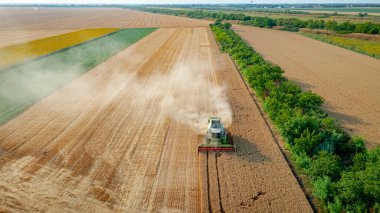 Tarımsal biçerdöver üzerinde, tarım arazilerinde olgun buğday kesip biçerken birleşiyor. Arkasında toz bulutu büyüyor..