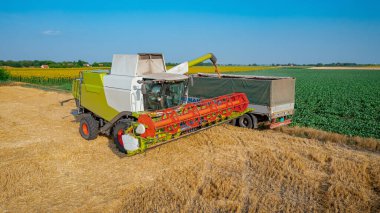 Tarımsal hasat makinesinin üstünde, hasat edilen buğdayı boşaltana kadar birleşip, uzun karavana nakledilecek..