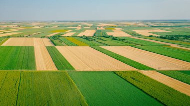 Tarım arazilerinin üzerinde, hasat mevsiminde ekilmiş araziler, yeşil mısır, mısır, mısır tarlaları ve ayçiçeği çiçekleri olan tarım arazilerinin yanında, ekilebilir bölünmüş parseller..