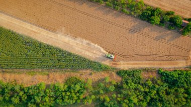 Zirai hasat makinesinin üstünde, tarım arazilerinde olgun buğday kesip biçerken birleşiyor. Yaz mevsiminde hasat zamanı. 