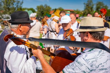 Muzlja, Voyvodina, Sırbistan, - 06 Temmuz 2024; Geleneksel buğday hasadı biçimi. Müzisyenler buğdayı kırsal alanda elle biçmeye başlamadan önce müzik çalarlar..
