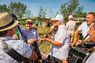 Muzlja, Voyvodina, Sırbistan, - 06 Temmuz 2024; Geleneksel buğday hasadı biçimi. Müzisyenler buğdayı kırsal alanda elle biçmeye başlamadan önce müzik çalarlar..