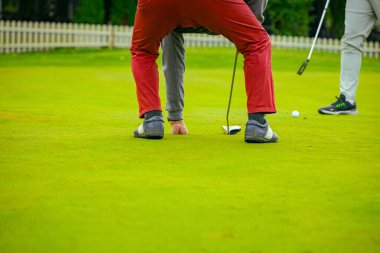 İnsanlar golf oynuyor, golf oynarken çim sahası, saha. Odaklanmış golfçü, topu deliğe, konsantrasyona ve hassasiyete sokmayı hedefleyen pitoresk bir golf sahası..