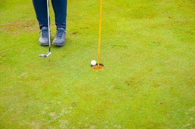 İnsanlar golf oynuyor, golf oynarken çim sahası, saha. Odaklanmış golfçü, topu deliğe, konsantrasyona ve hassasiyete sokmayı hedefleyen pitoresk bir golf sahası..