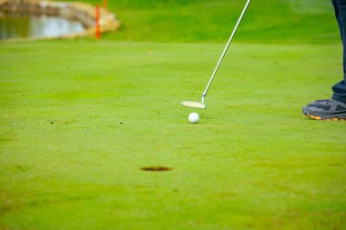 İnsanlar golf oynuyor, golf oynarken çim sahası, saha. Odaklanmış golfçü, topu deliğe, konsantrasyona ve hassasiyete sokmayı hedefleyen pitoresk bir golf sahası..