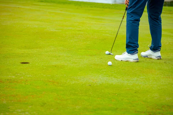 İnsanlar golf oynuyor, golf oynarken çim sahası, saha. Odaklanmış golfçü, topu deliğe, konsantrasyona ve hassasiyete sokmayı hedefleyen pitoresk bir golf sahası..