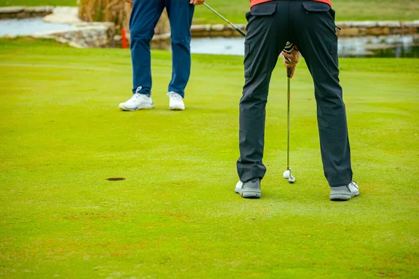 İnsanlar golf oynuyor, golf oynarken çim sahası, saha. Odaklanmış golfçü, topu deliğe, konsantrasyona ve hassasiyete sokmayı hedefleyen pitoresk bir golf sahası..