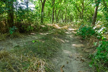 Fazla gelişmiş yol ahşap gidiyor.