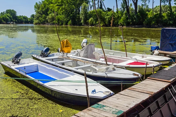 Bateaux de pêche échoués sur une rivière envahie par l'asclépiade . — Photo