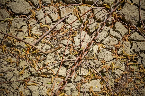 Dried ground due to drought season. — Stock Photo, Image