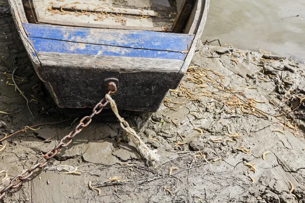 Barco de pescador está amarrado à árvore . — Fotografia de Stock