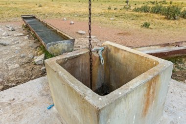 Ev ile ilgili hayvan otlatma sonra su içmek için sulama yer