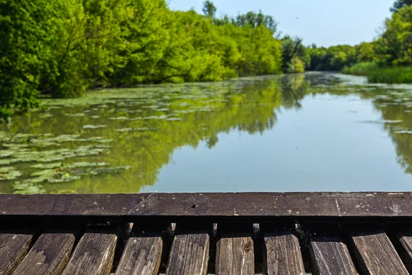 Plataforma de madera está en vista de la naturaleza . — Foto de Stock