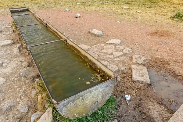 Watering place for domestic animals to drink water after grazing — Stock Photo, Image